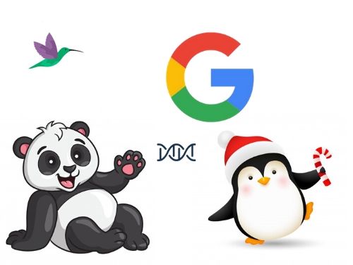 Illustrazione degli aggiornamenti di Google: Panda, Pinguino e Colibrì