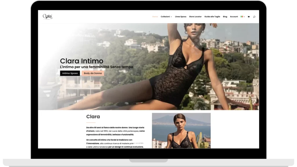 c ecommerce seo adv clara website