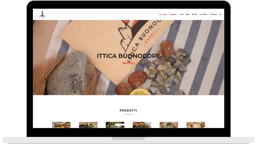 c seo ittica website