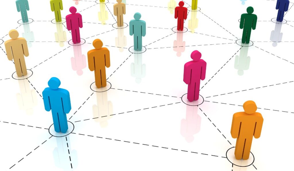 Riprova sociale: come si applica nelle strategie di digital marketing 17 riprova sociale social proof bias cognitivo